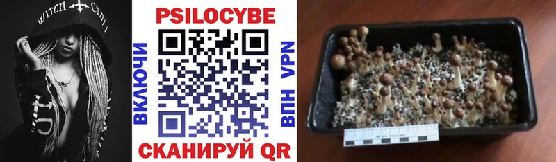 Галлюциногенные грибы Psilocybine cubensis  наркошоп  Белово 