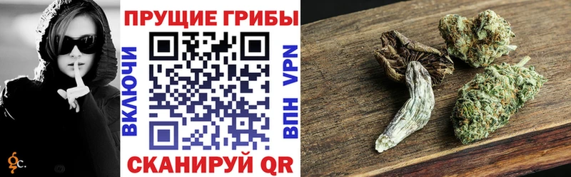 Галлюциногенные грибы GOLDEN TEACHER Белово